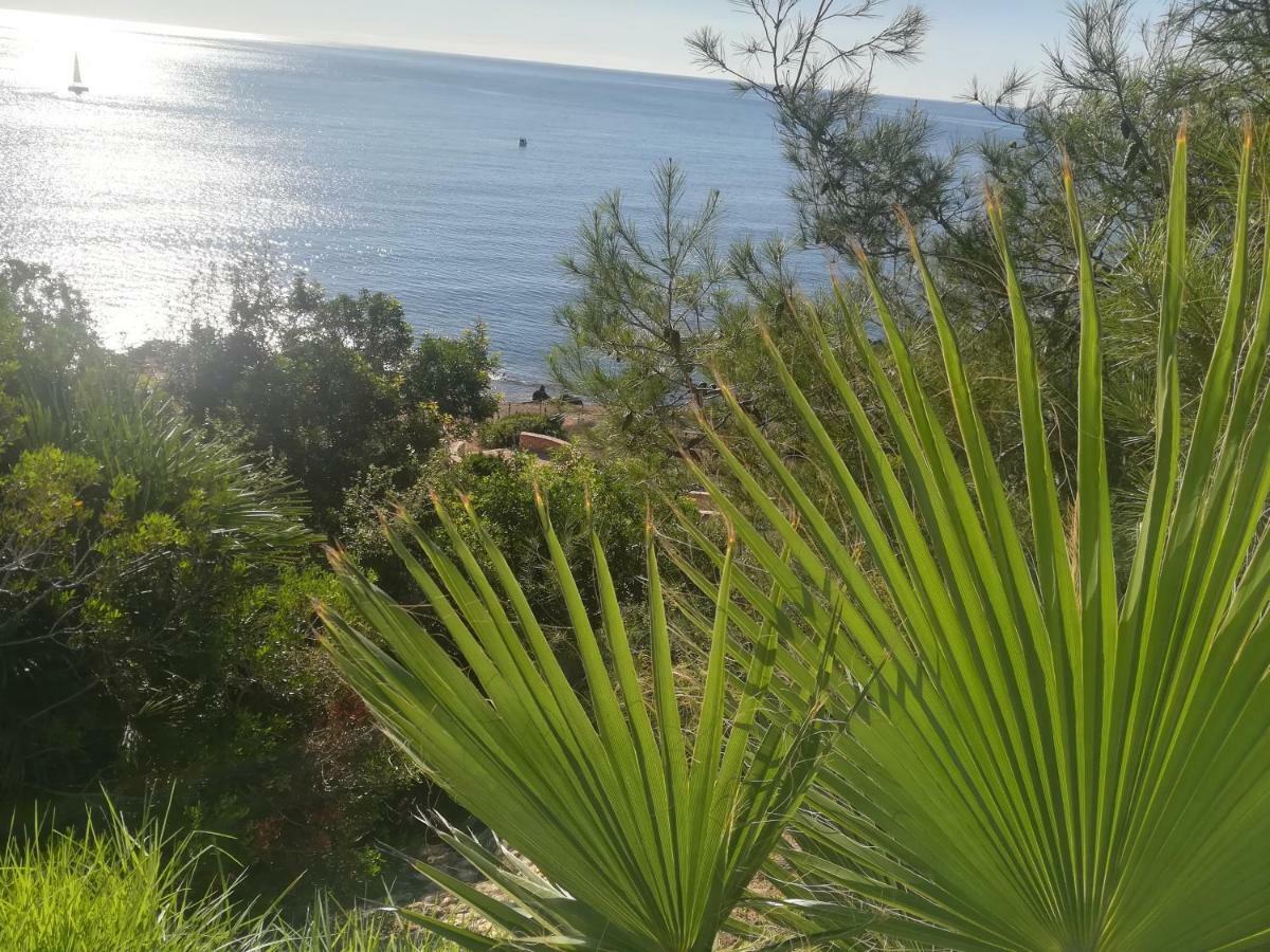 Cabo Roig Bellavista IIIアパートメント エクステリア 写真