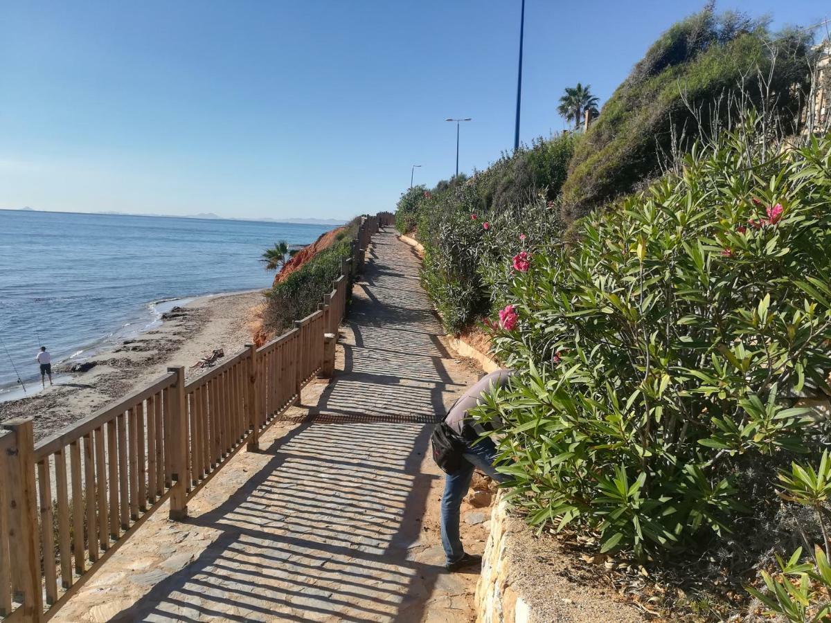 Cabo Roig Bellavista IIIアパートメント エクステリア 写真